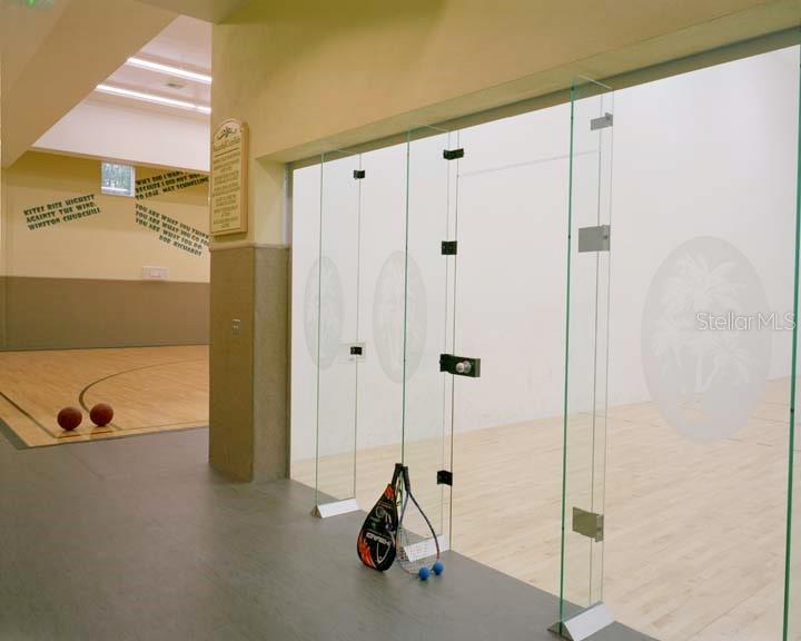 2407 COURTNEY MEADOWS CT #103, TAMPA, FL, 33619