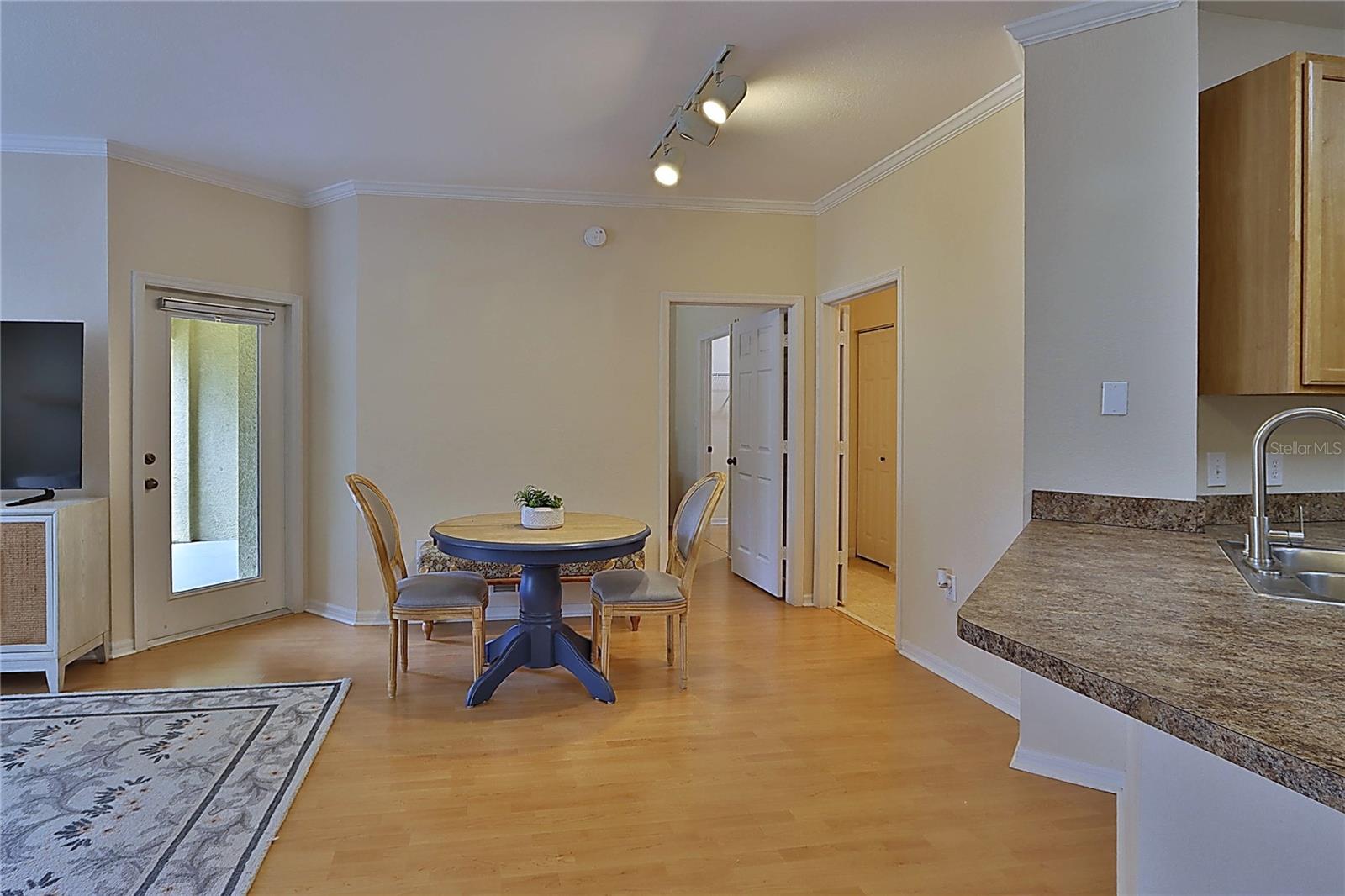 2407 COURTNEY MEADOWS CT #103, TAMPA, FL, 33619