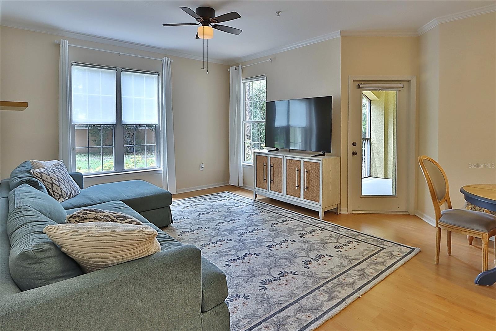 2407 COURTNEY MEADOWS CT #103, TAMPA, FL, 33619