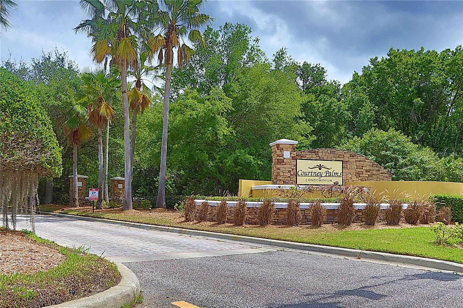 2407 COURTNEY MEADOWS CT #103, TAMPA, FL, 33619