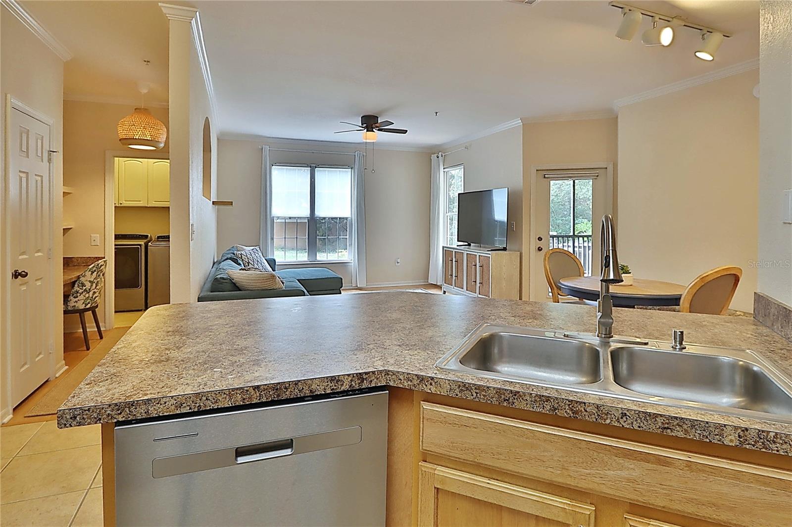 2407 COURTNEY MEADOWS CT #103, TAMPA, FL, 33619