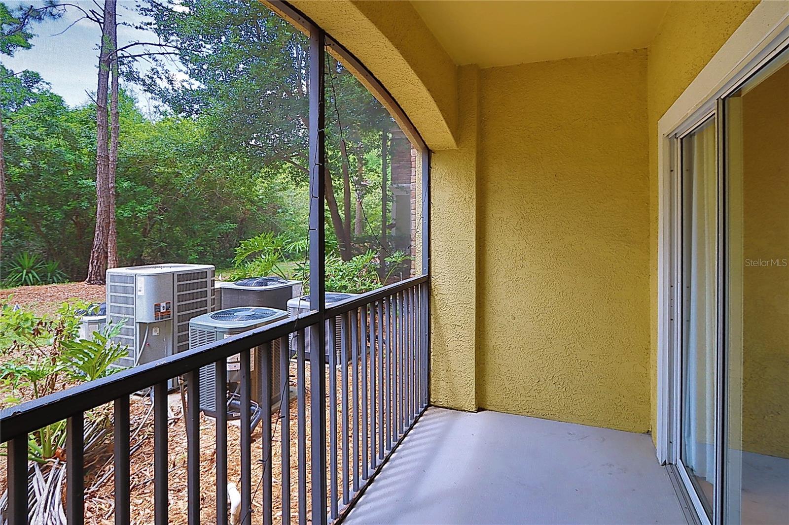 2407 COURTNEY MEADOWS CT #103, TAMPA, FL, 33619