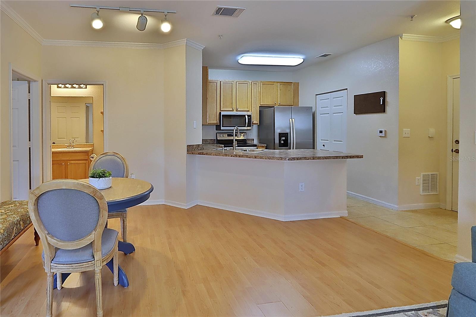 2407 COURTNEY MEADOWS CT #103, TAMPA, FL, 33619