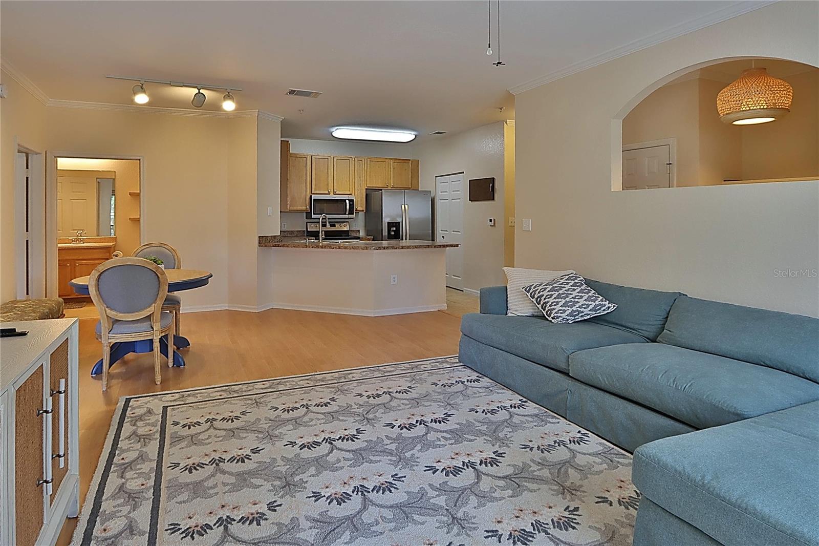 2407 COURTNEY MEADOWS CT #103, TAMPA, FL, 33619