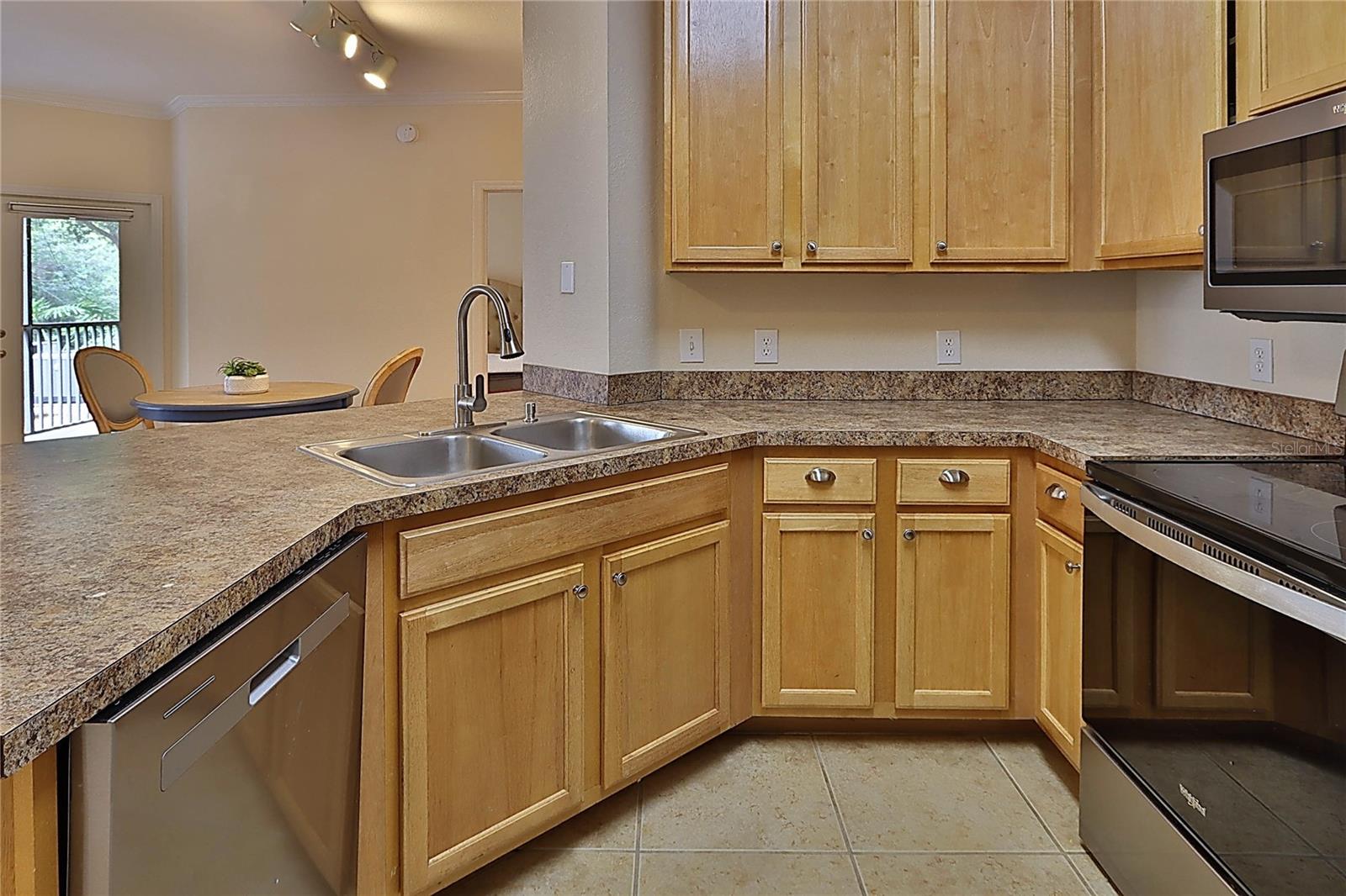 2407 COURTNEY MEADOWS CT #103, TAMPA, FL, 33619