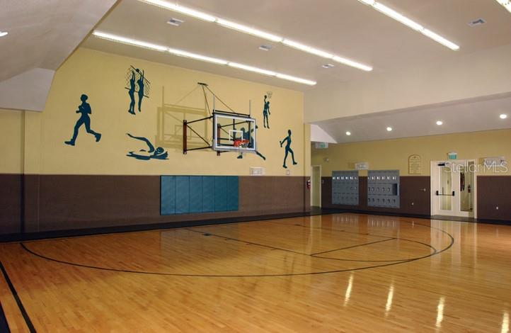 2407 COURTNEY MEADOWS CT #103, TAMPA, FL, 33619