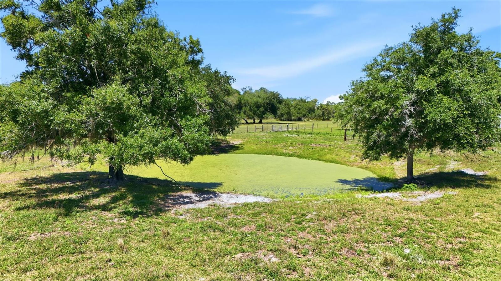 30981 SINGLETARY RD, MYAKKA CITY, FL, 34251