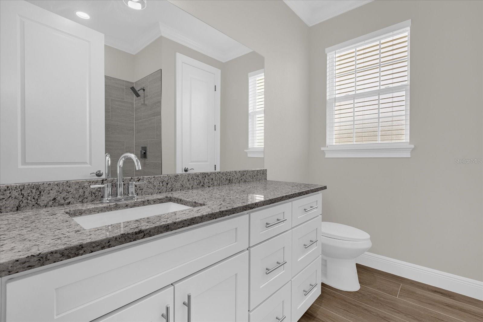 16392 SE 83RD CT, SUMMERFIELD, FL, 34491