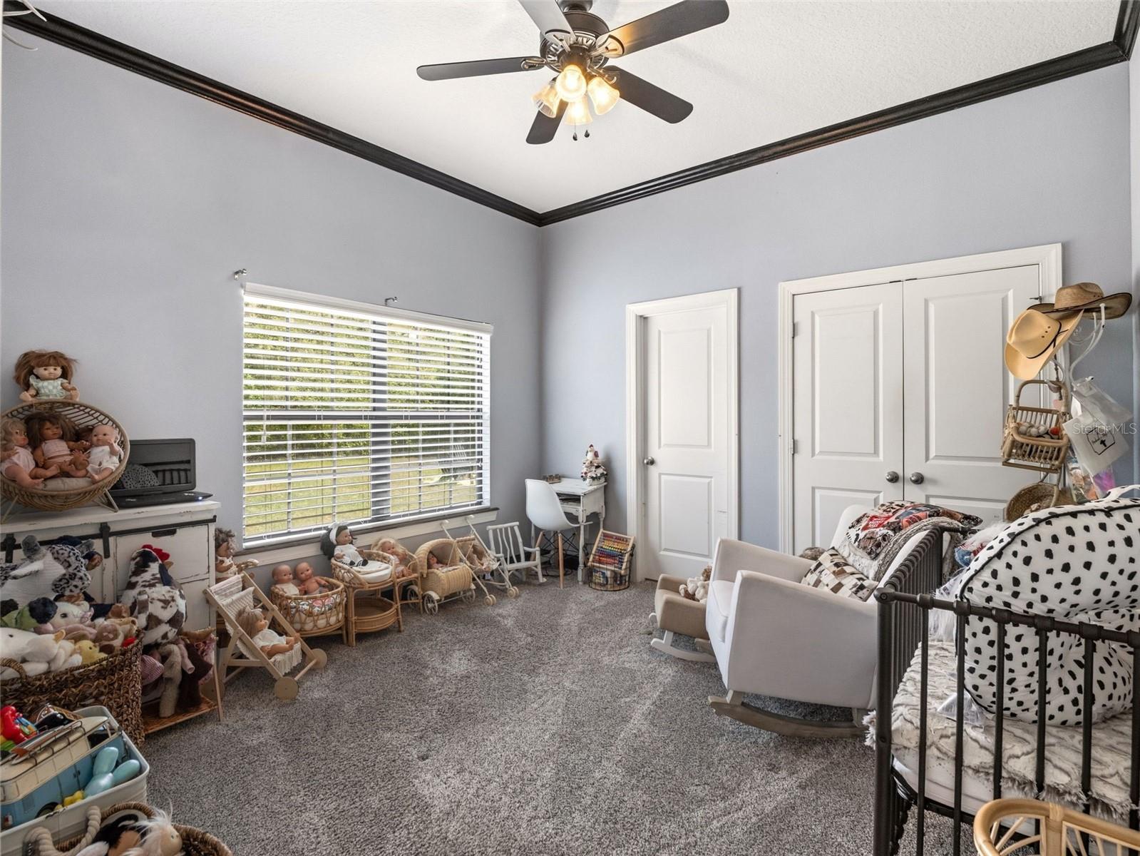 6030 MILLSTREAM DR, GROVELAND, FL, 34736