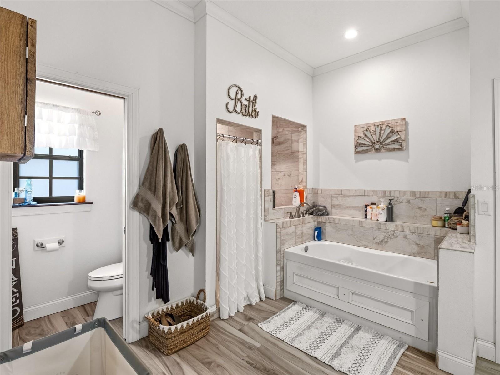 6030 MILLSTREAM DR, GROVELAND, FL, 34736