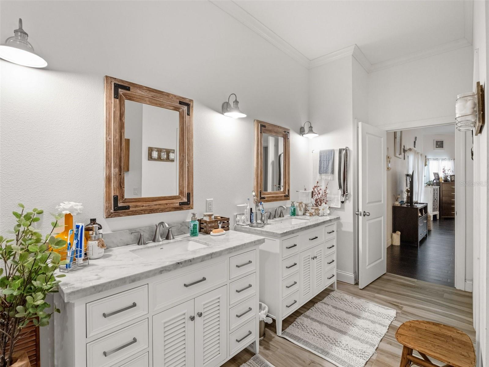 6030 MILLSTREAM DR, GROVELAND, FL, 34736