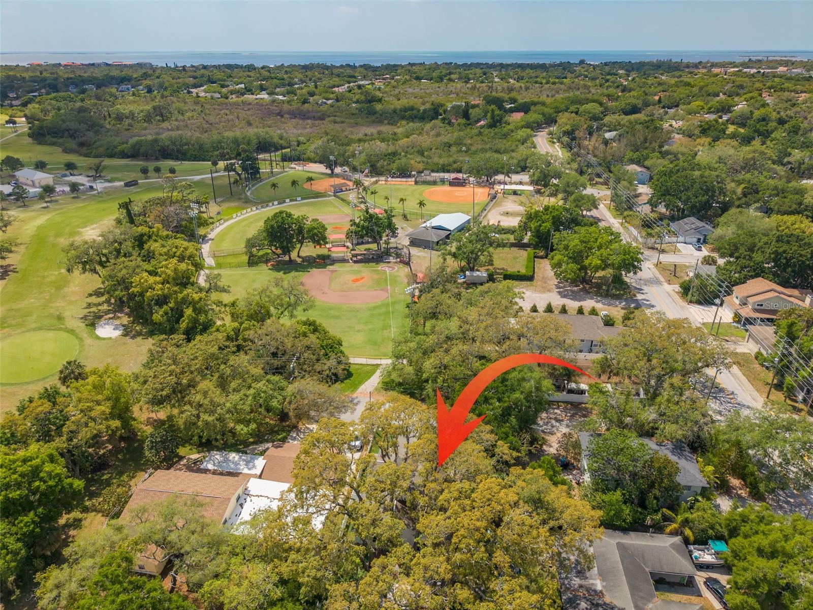 901 VIRGINIA AVE, TARPON SPRINGS, FL, 34689