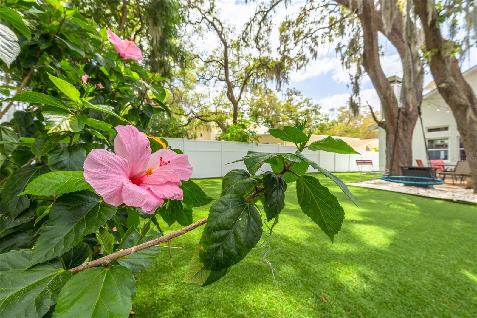 901 VIRGINIA AVE, TARPON SPRINGS, FL, 34689