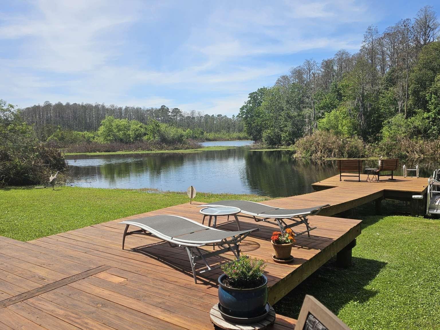 5757 SWEET CHERRY LN, LAND O LAKES, FL, 34639