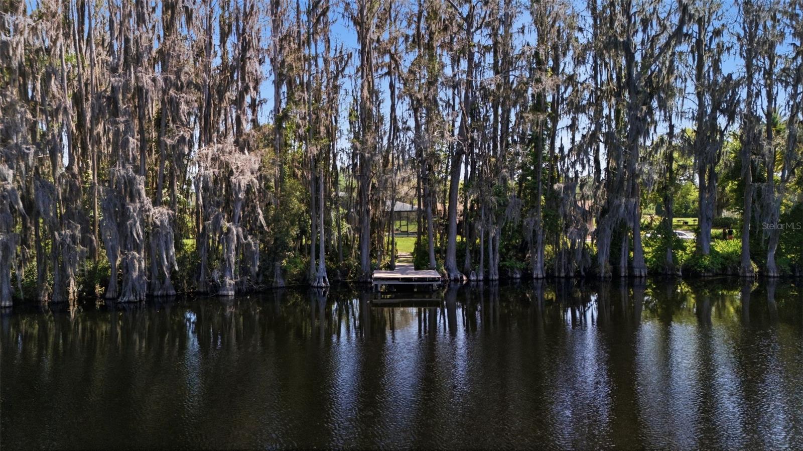 820 NEWBERGER RD, LUTZ, FL, 33549