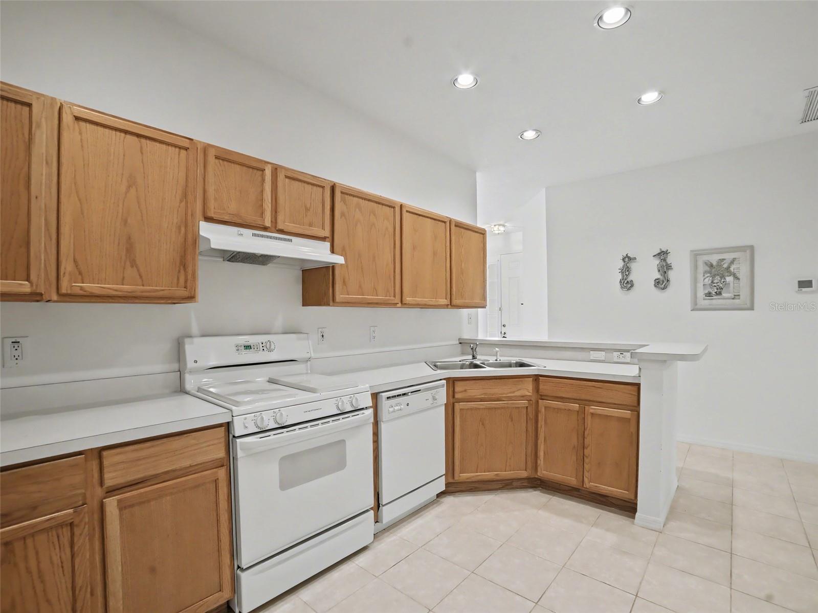 10529 FIRE OAK CT, RIVERVIEW, FL, 33578