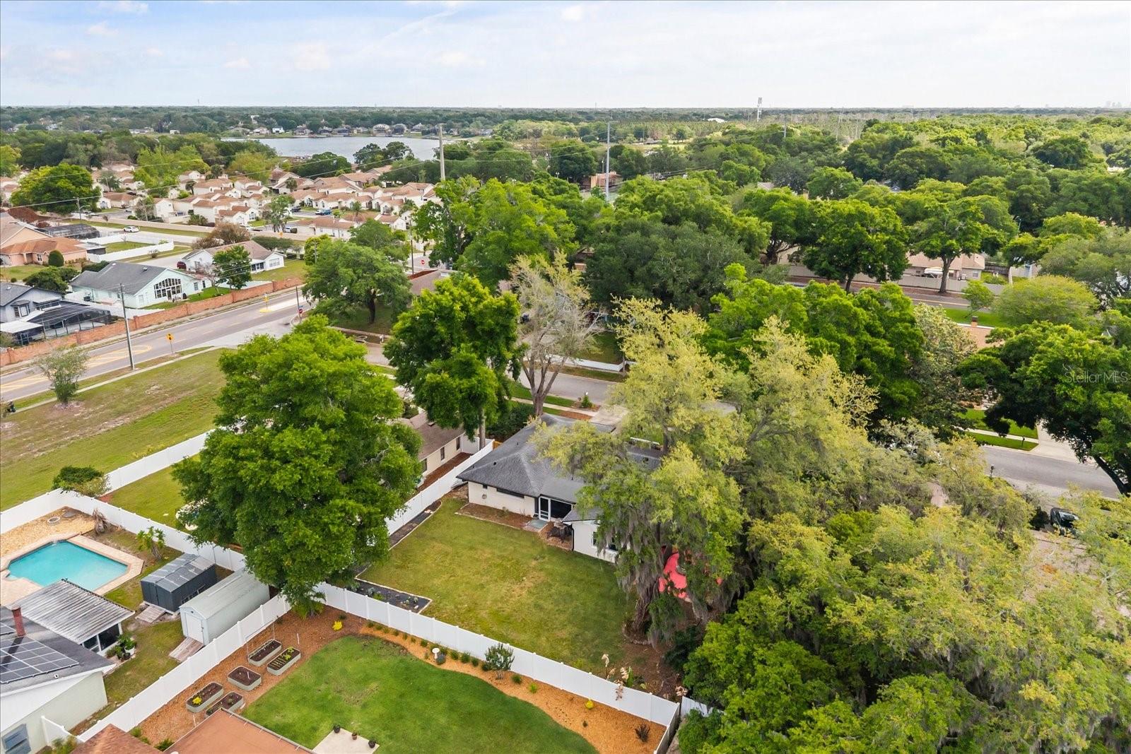 817 E HARBOUR CT, OCOEE, FL, 34761