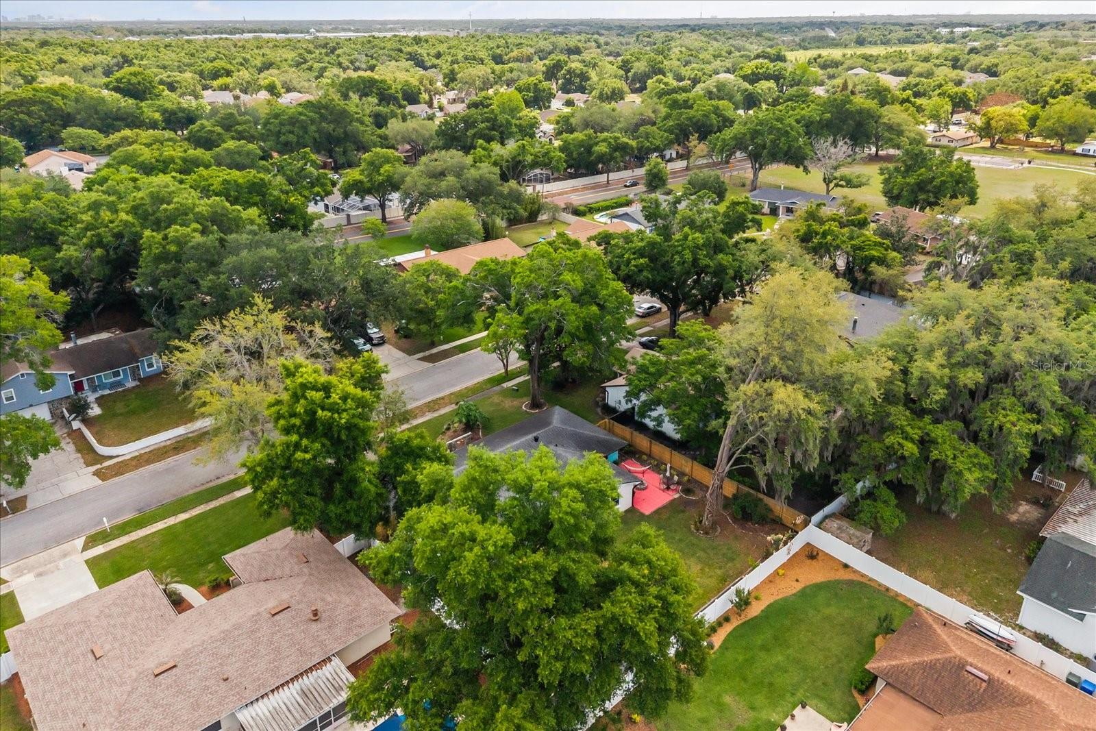 817 E HARBOUR CT, OCOEE, FL, 34761