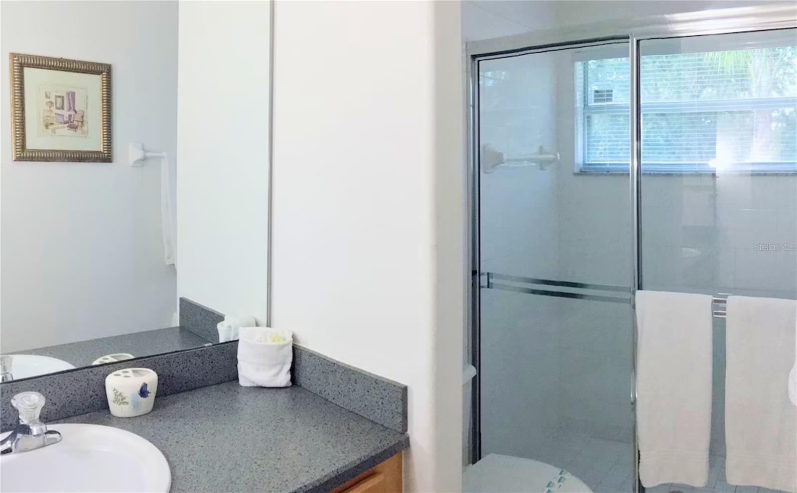 3433 SWALLOW HILL ST, CLERMONT, FL, 34714