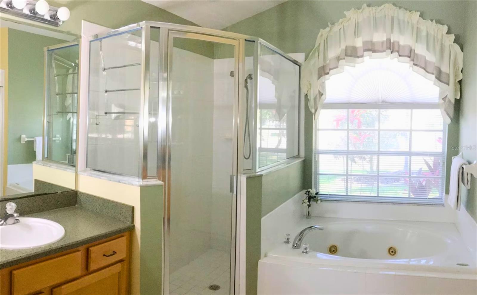 3433 SWALLOW HILL ST, CLERMONT, FL, 34714