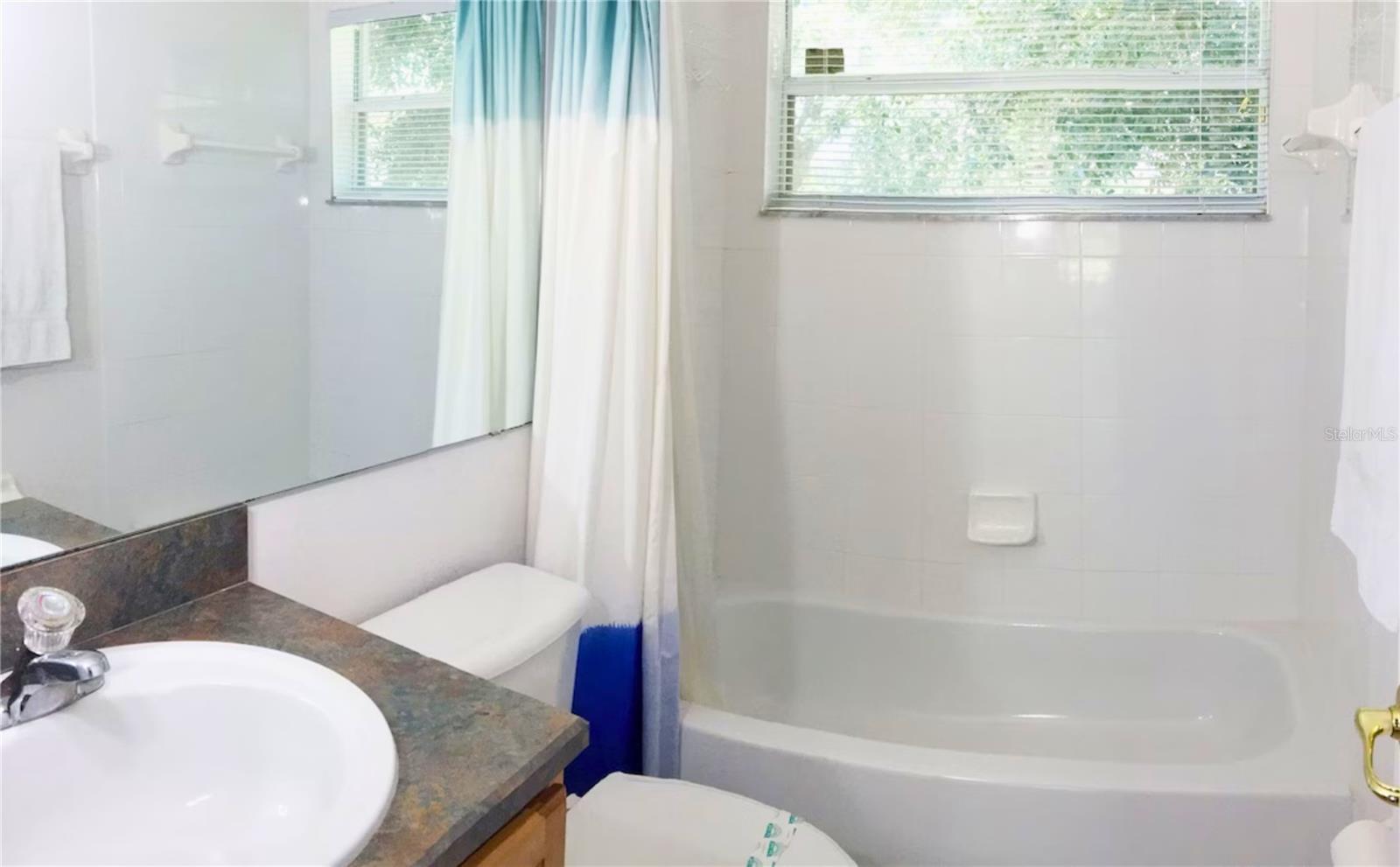 3433 SWALLOW HILL ST, CLERMONT, FL, 34714