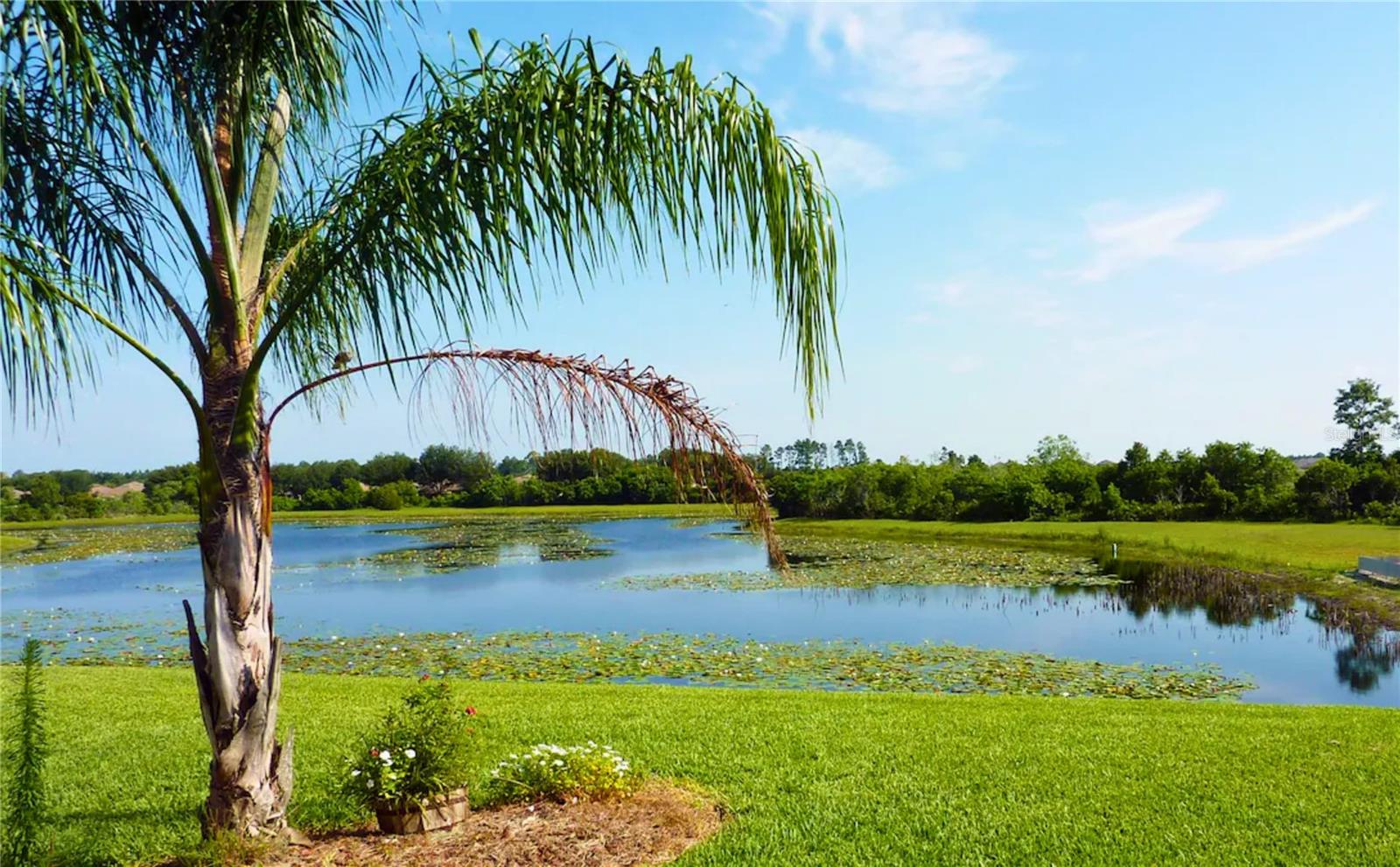 3433 SWALLOW HILL ST, CLERMONT, FL, 34714