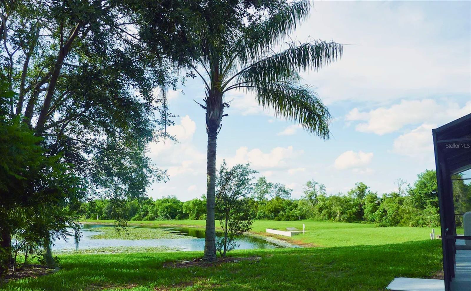 3433 SWALLOW HILL ST, CLERMONT, FL, 34714