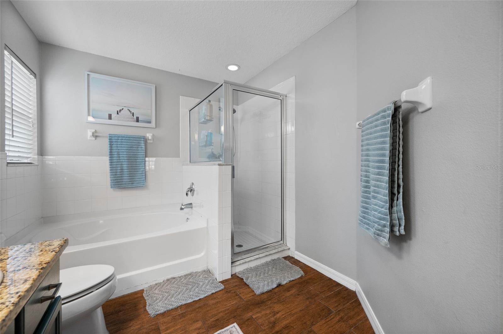 10031 CREEK BLUFF DR, RIVERVIEW, FL, 33578