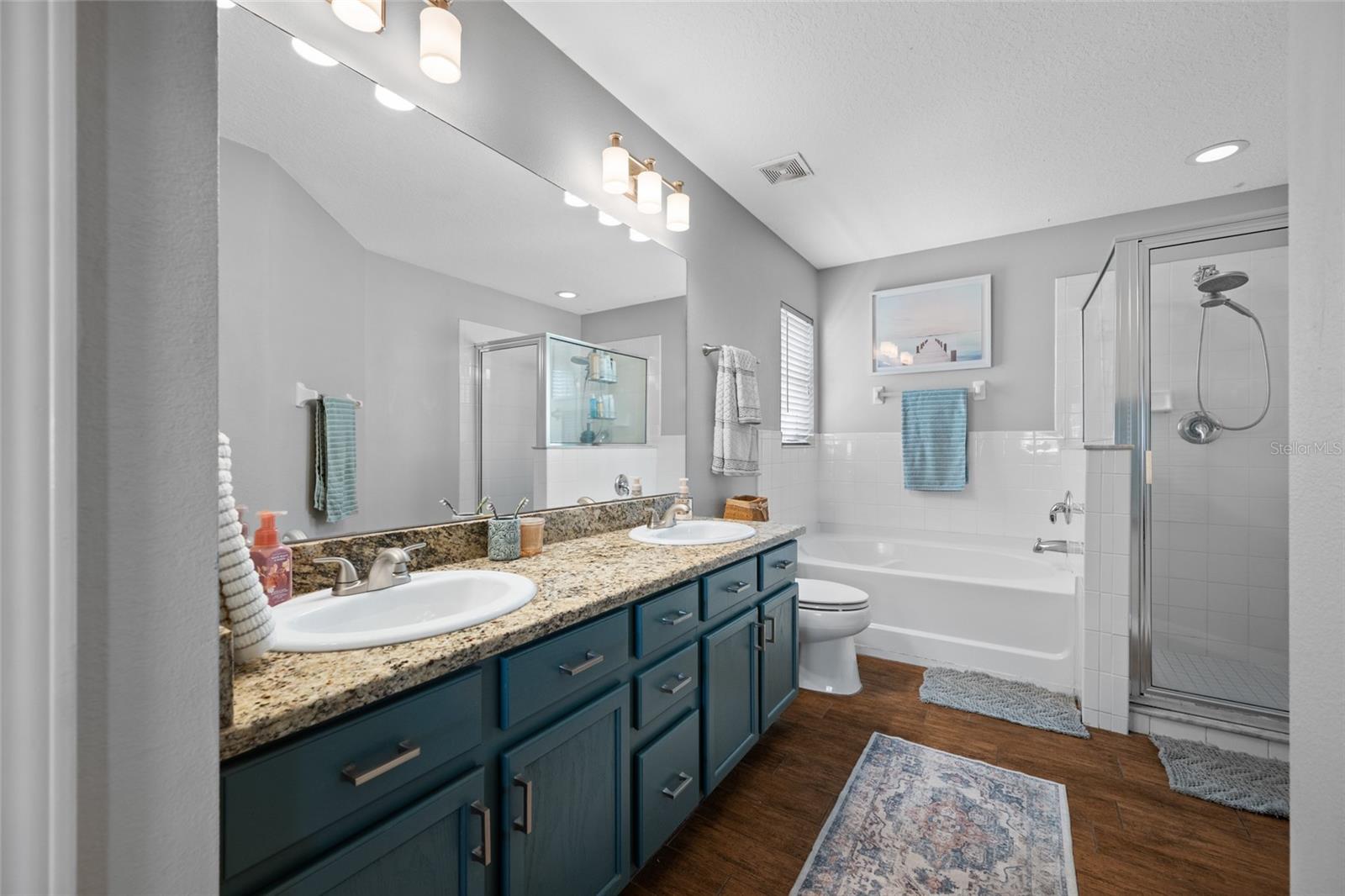 10031 CREEK BLUFF DR, RIVERVIEW, FL, 33578