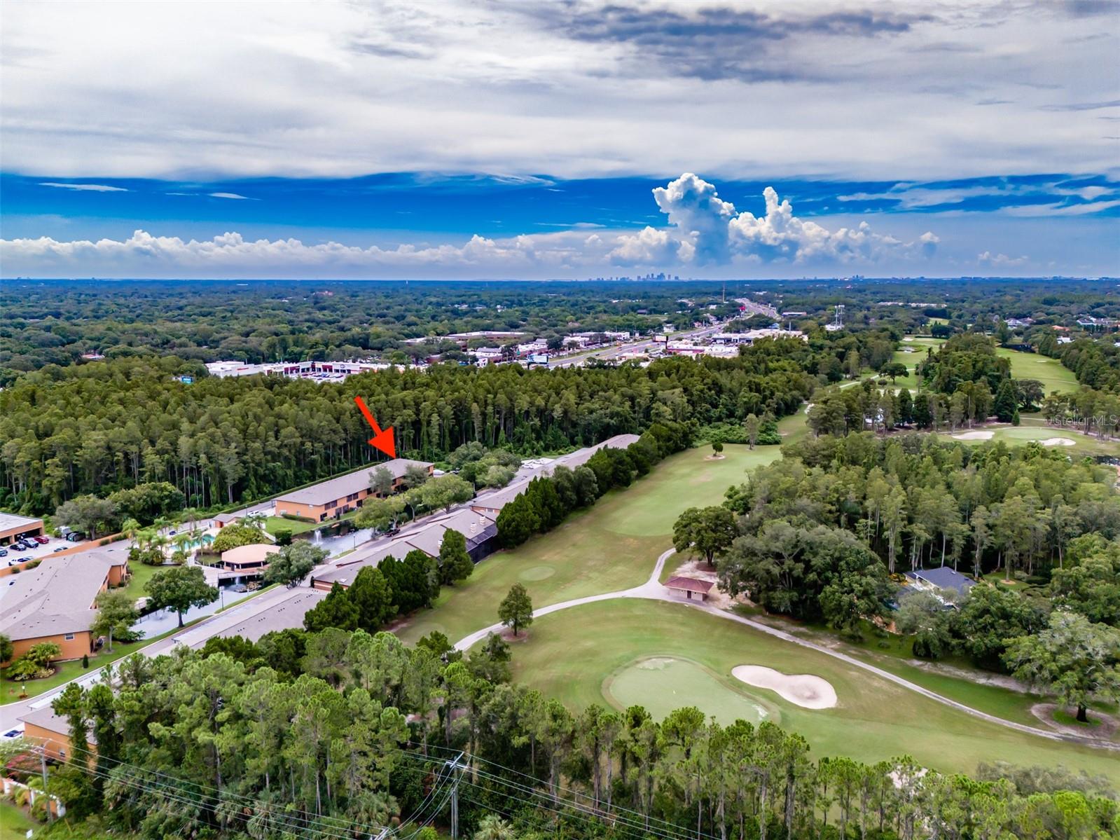 14643 PAR CLUB CIR #14643, TAMPA, FL, 33618