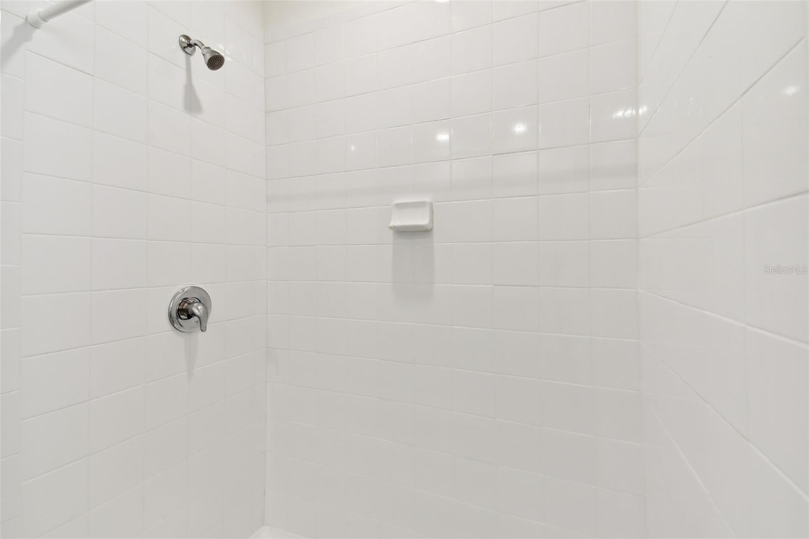 33405 HAMILTON HILL LN, WESLEY CHAPEL, FL, 33545