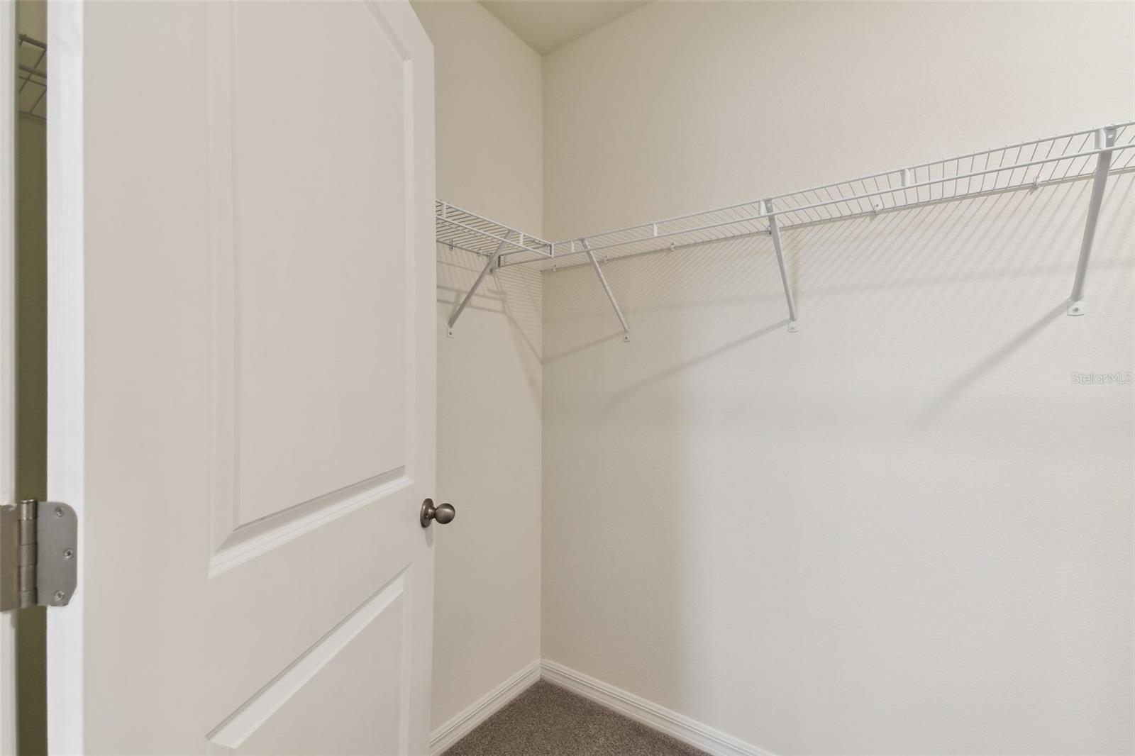 33405 HAMILTON HILL LN, WESLEY CHAPEL, FL, 33545