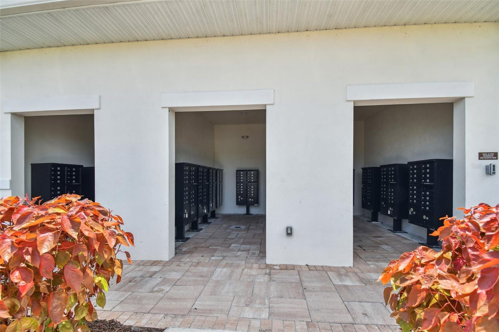 33405 HAMILTON HILL LN, WESLEY CHAPEL, FL, 33545