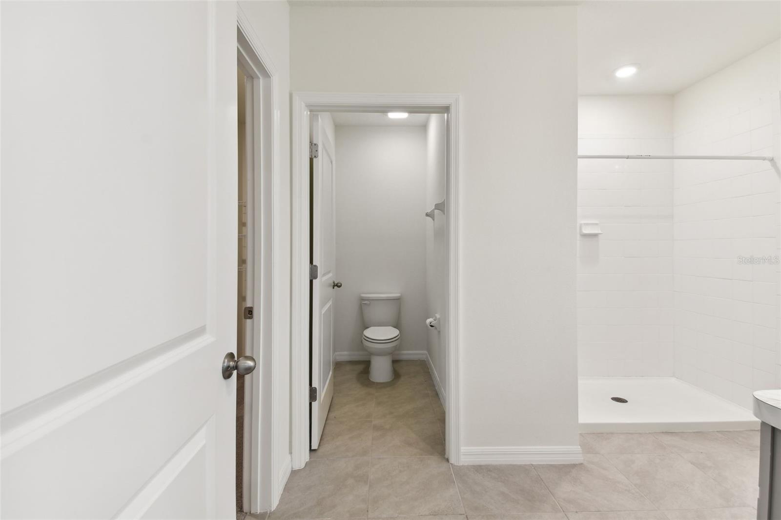 33405 HAMILTON HILL LN, WESLEY CHAPEL, FL, 33545