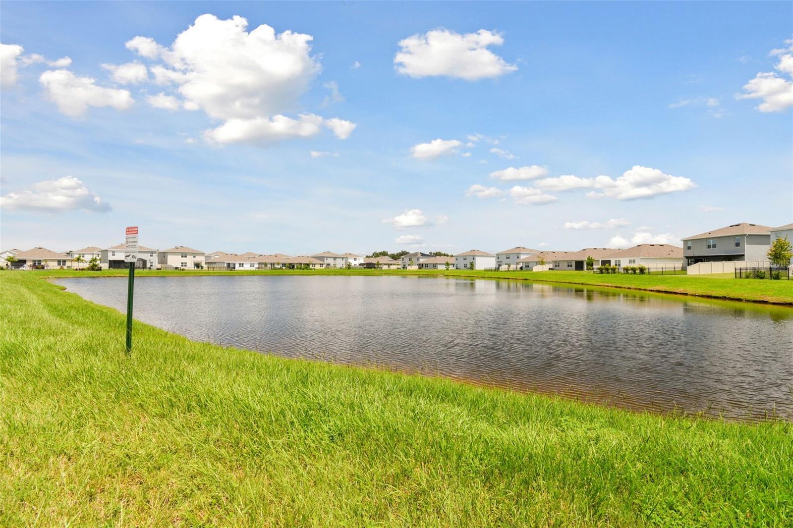 33405 HAMILTON HILL LN, WESLEY CHAPEL, FL, 33545