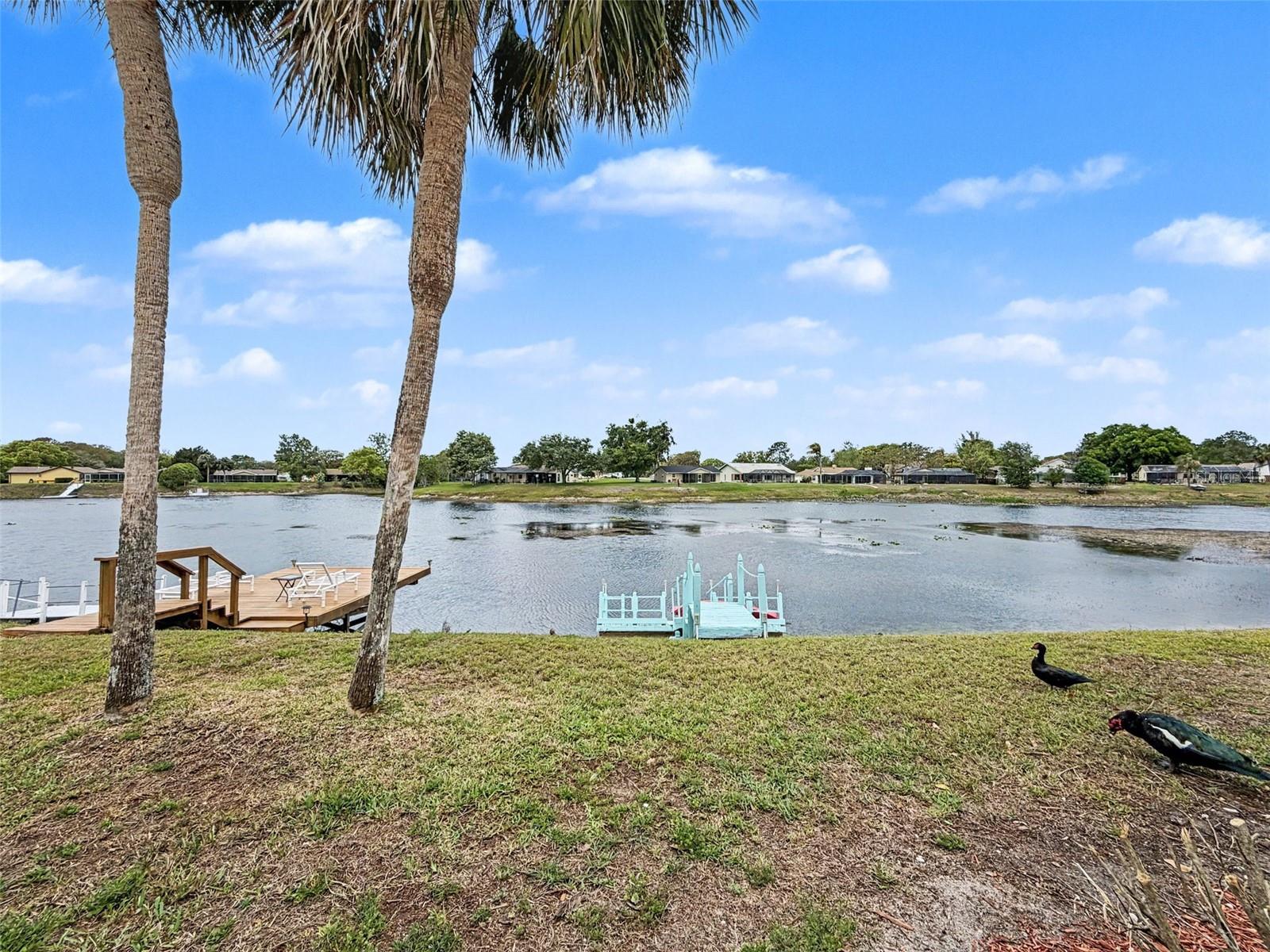 9127 LINGROVE RD, WEEKI WACHEE, FL, 34613