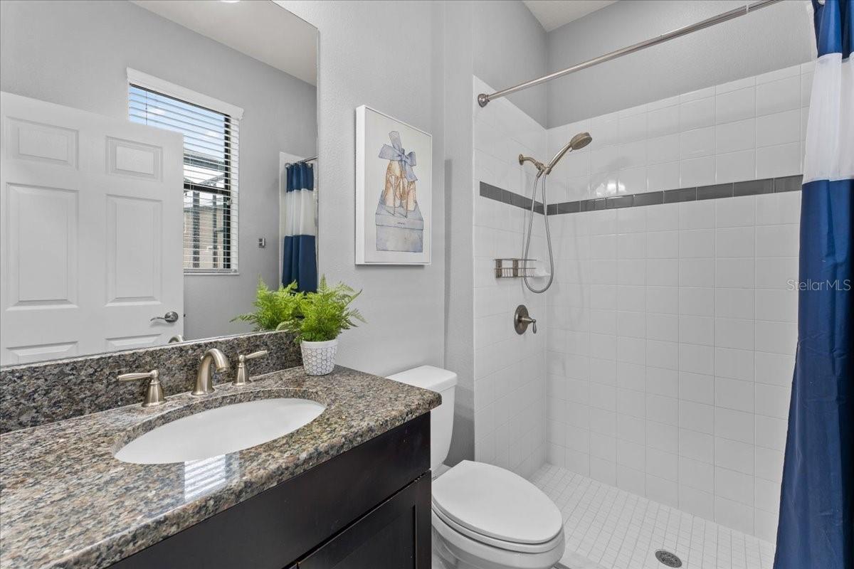 1675 FEATHER GRASS LOOP, LUTZ, FL, 33558