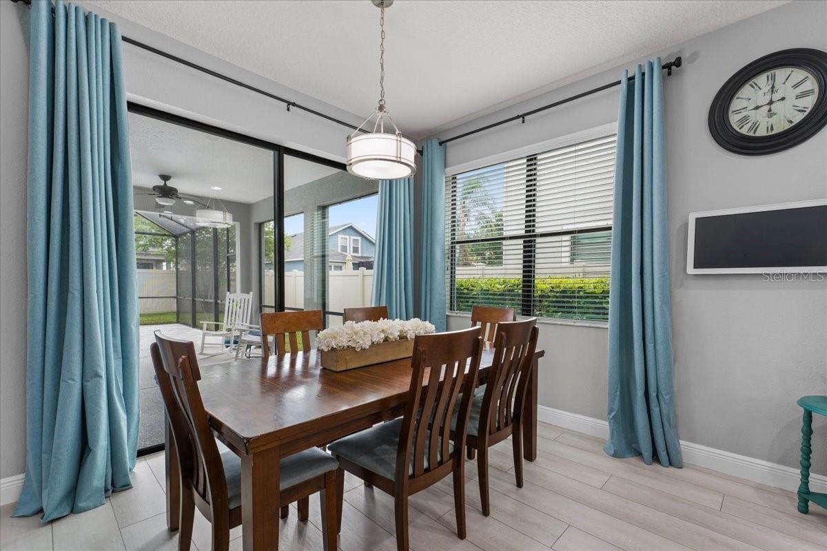 1675 FEATHER GRASS LOOP, LUTZ, FL, 33558