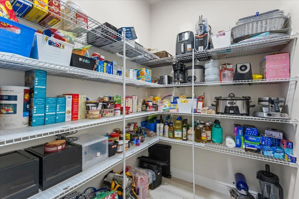 1675 FEATHER GRASS LOOP, LUTZ, FL, 33558