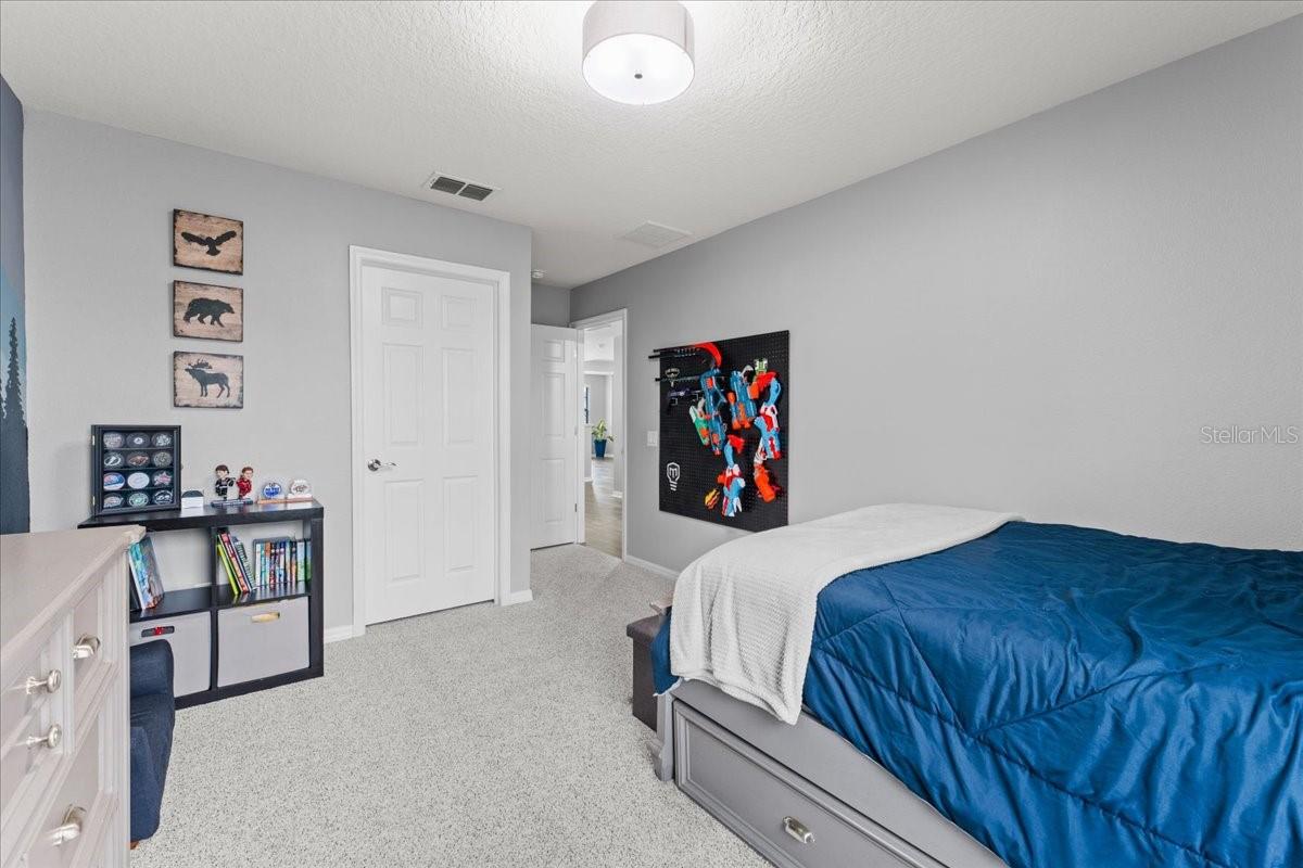 1675 FEATHER GRASS LOOP, LUTZ, FL, 33558