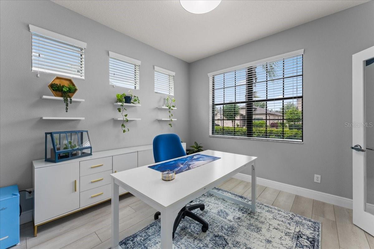 1675 FEATHER GRASS LOOP, LUTZ, FL, 33558