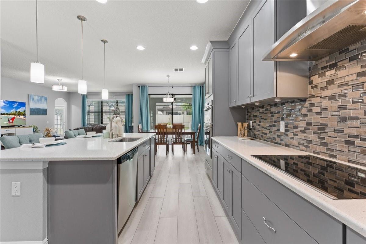 1675 FEATHER GRASS LOOP, LUTZ, FL, 33558