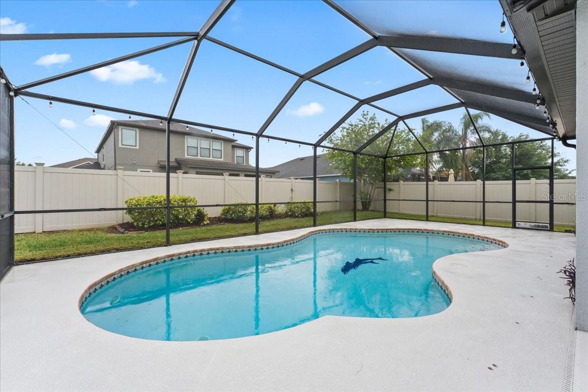 1675 FEATHER GRASS LOOP, LUTZ, FL, 33558