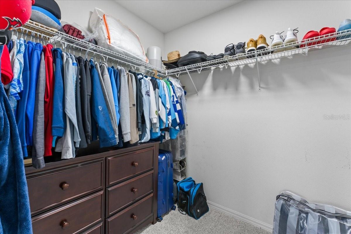 1675 FEATHER GRASS LOOP, LUTZ, FL, 33558