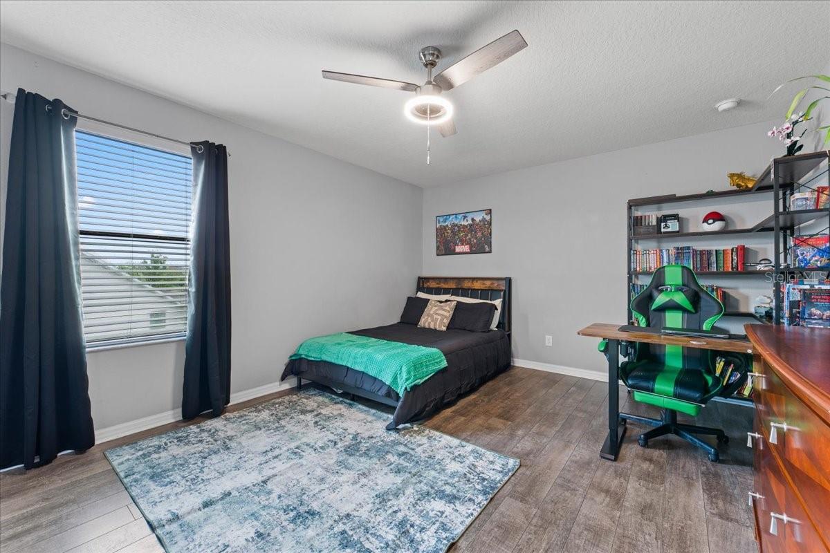 1675 FEATHER GRASS LOOP, LUTZ, FL, 33558