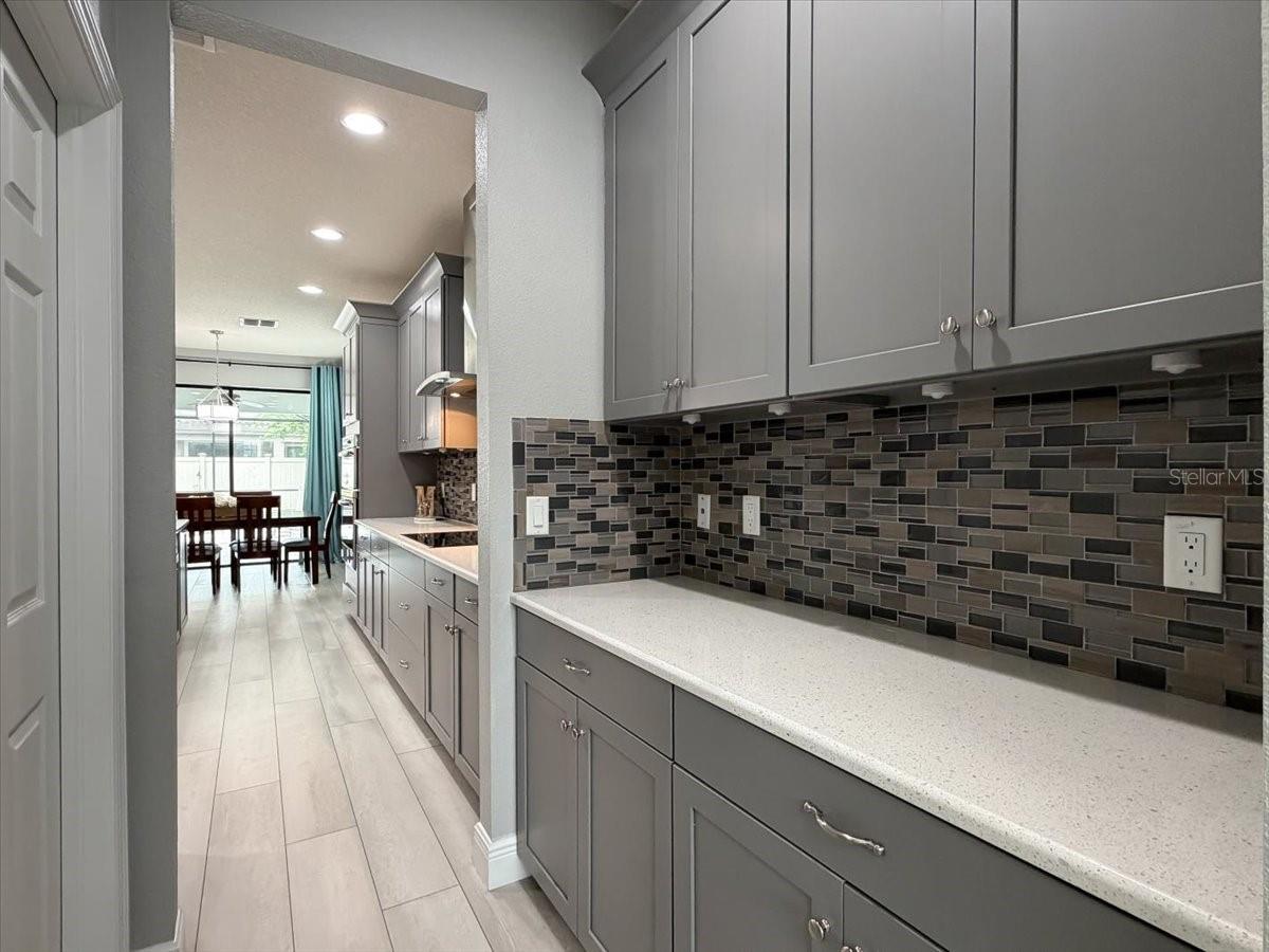 1675 FEATHER GRASS LOOP, LUTZ, FL, 33558