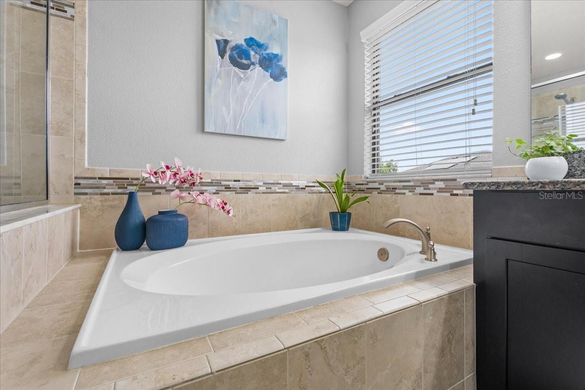 1675 FEATHER GRASS LOOP, LUTZ, FL, 33558