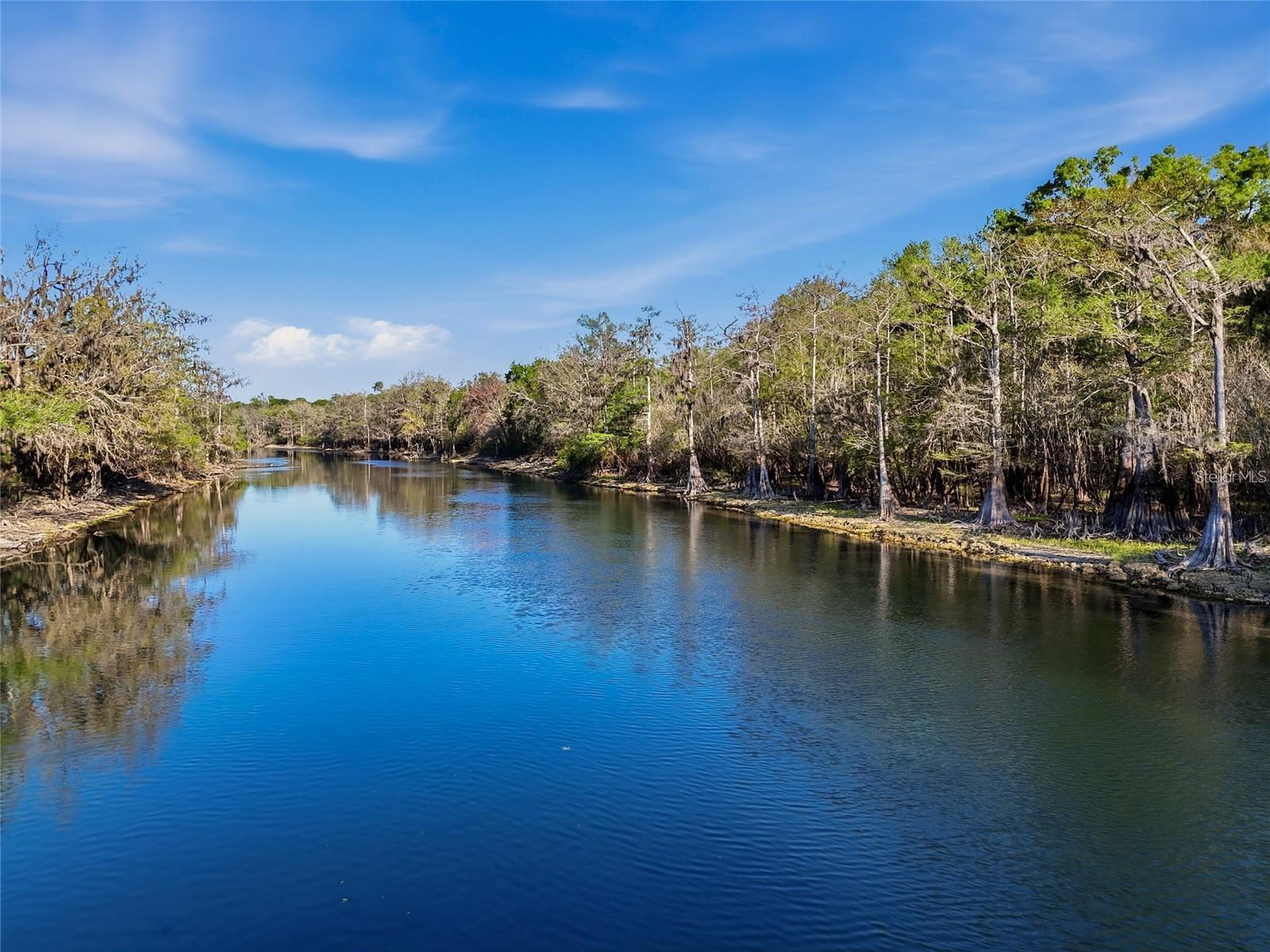 1042 SW WOODLAND AVE, FORT WHITE, FL, 32038