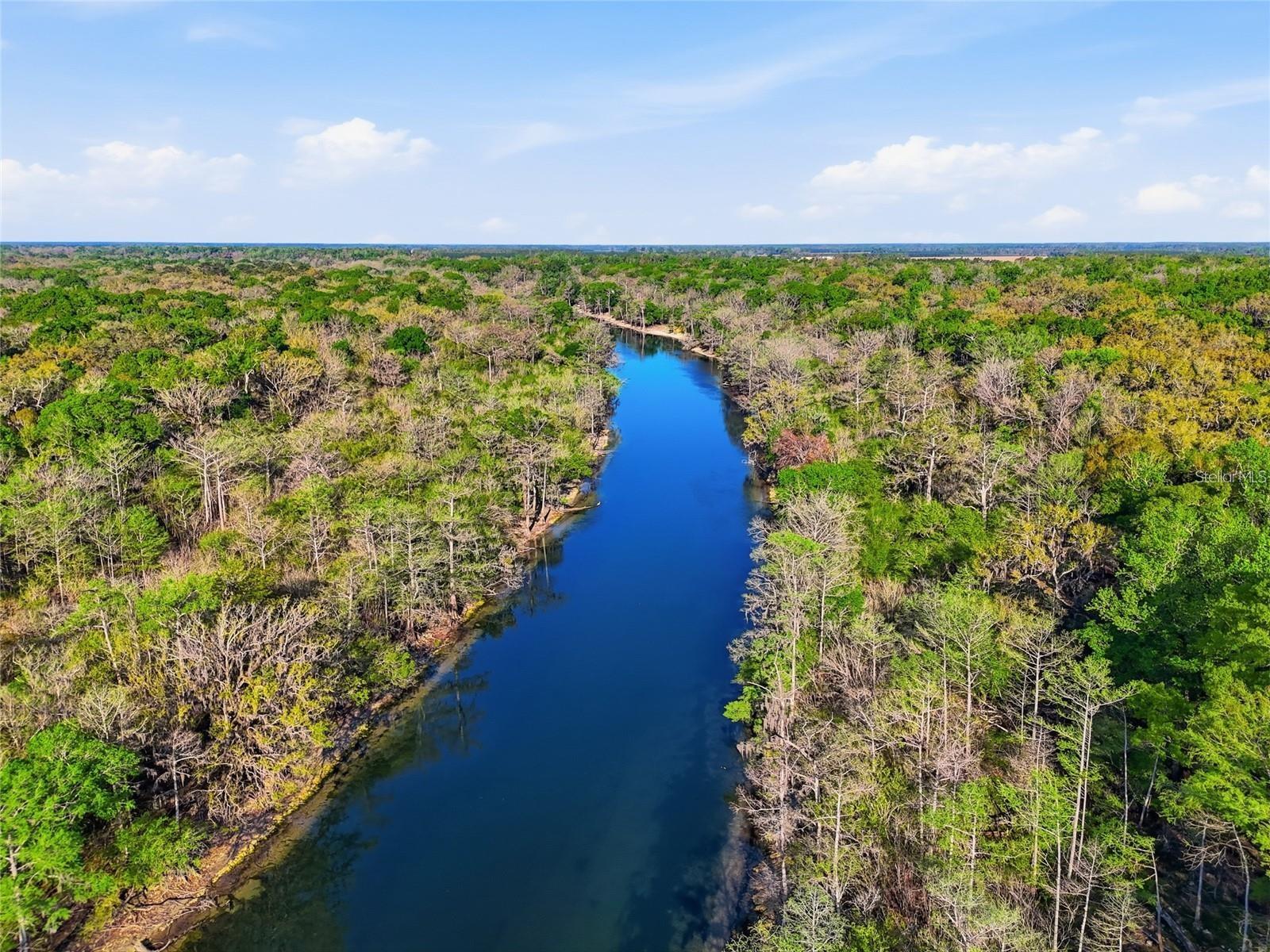 1042 SW WOODLAND AVE, FORT WHITE, FL, 32038