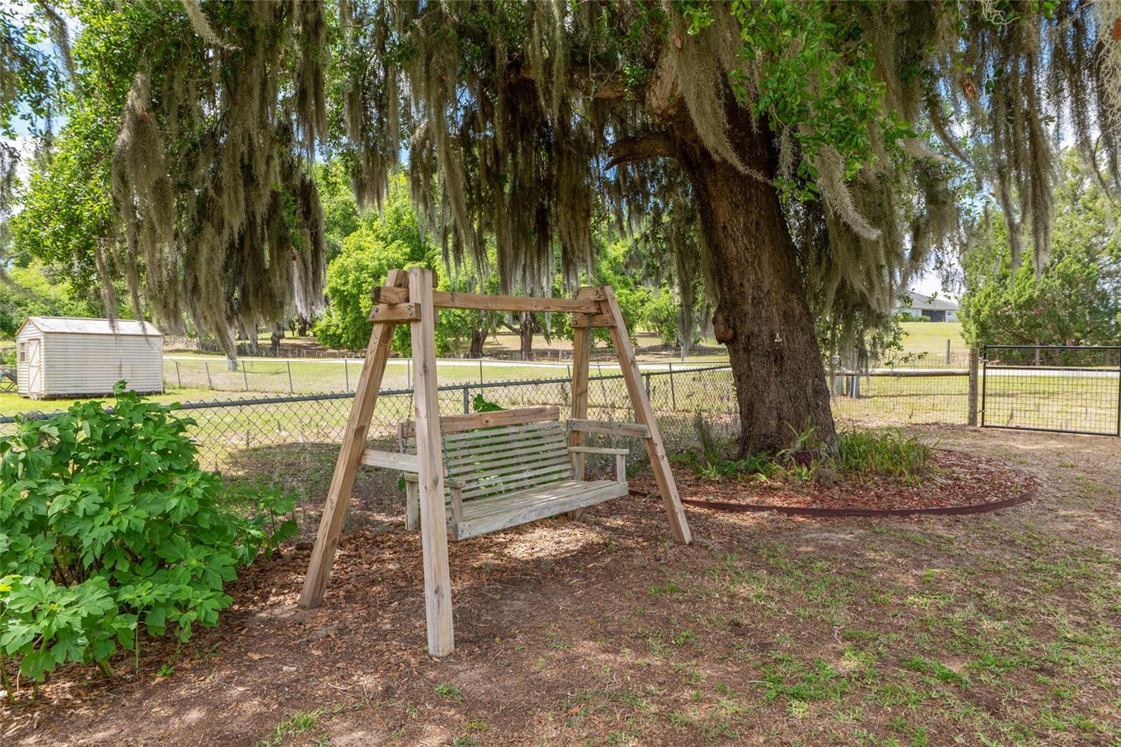 38845 ELLA DR, LADY LAKE, FL, 32159